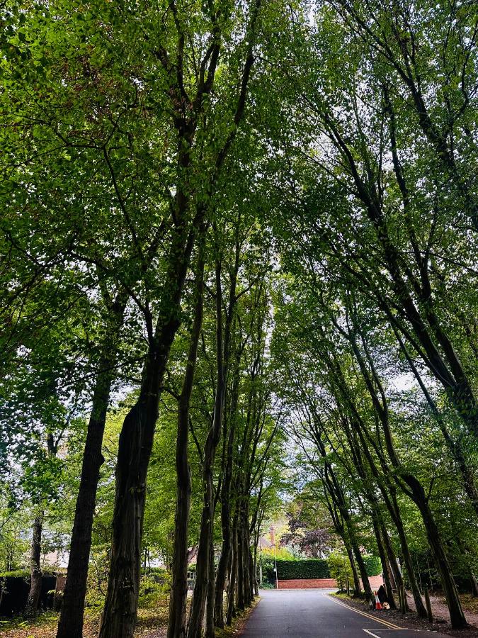 Luxury apartment-sleep5-parking-Wembley-Heathrow - B&B Gerrards Cross