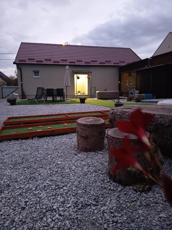 Apartman SOKAK - Chambres d'hôtes Satnica