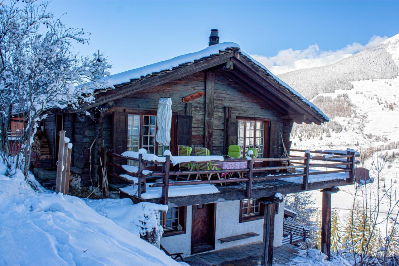 Chalet le Moulin - calme, nature, cheminée, vue - Ferienwohnung Liddes