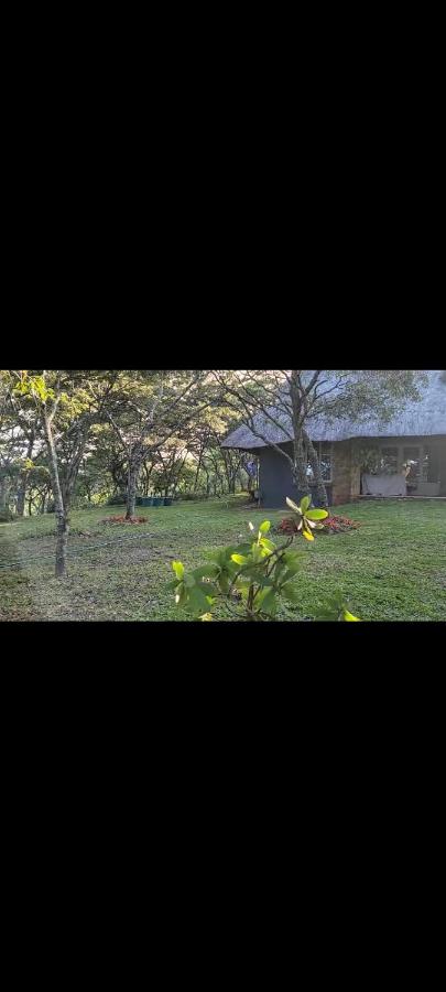 Kweza Cottages - B&B Chimanimani