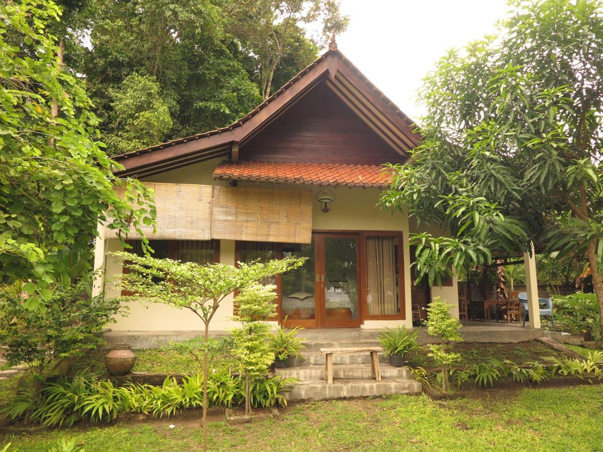 Double Room with Park View