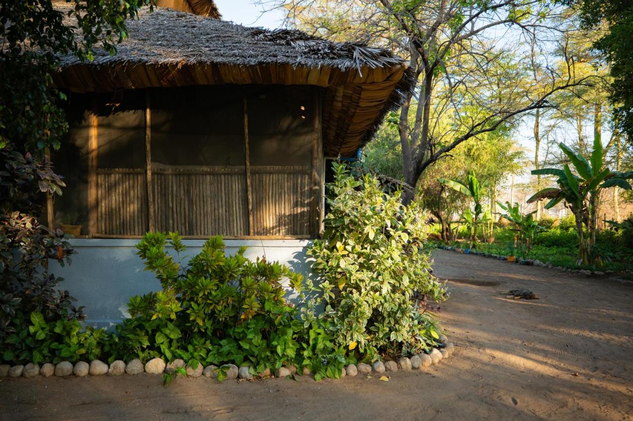 Appartamento Deluxe con 1 Camera da Letto e Vista Giardino