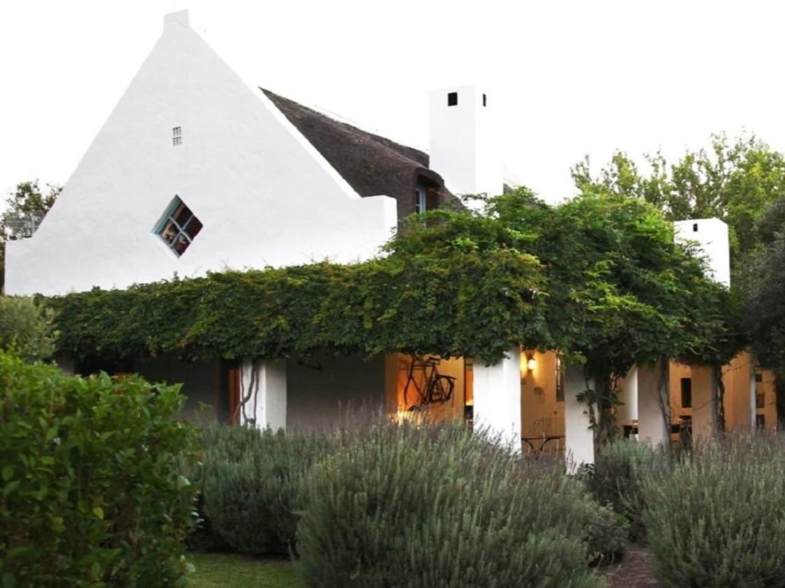 Lavender’s Blue - B&B Stanford