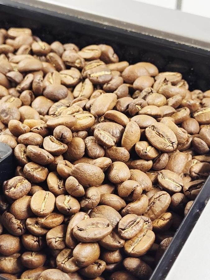 Attic in the heart of Radom - B&B Radom