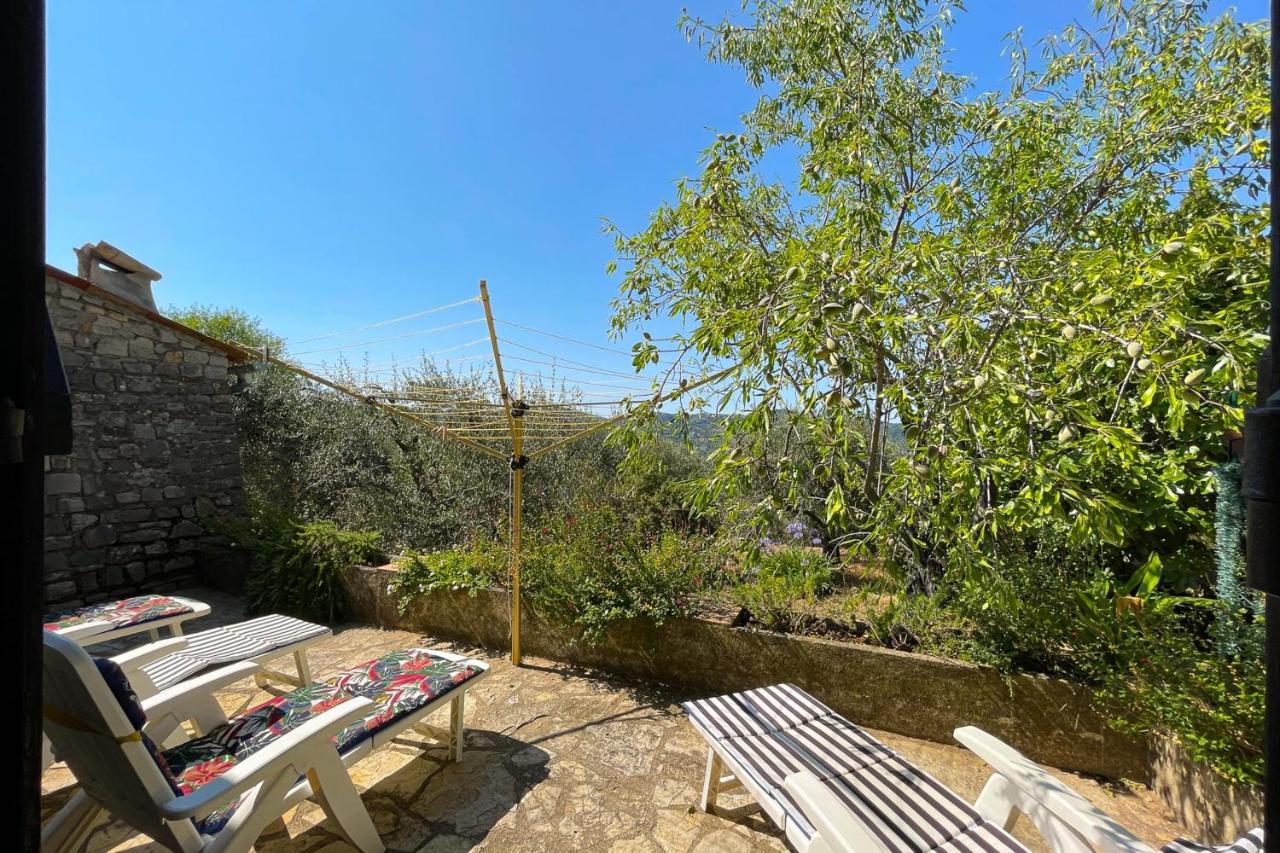 Provençal farmhouse 6 guests Peymeinade near Cannes - B&B Peymeinade