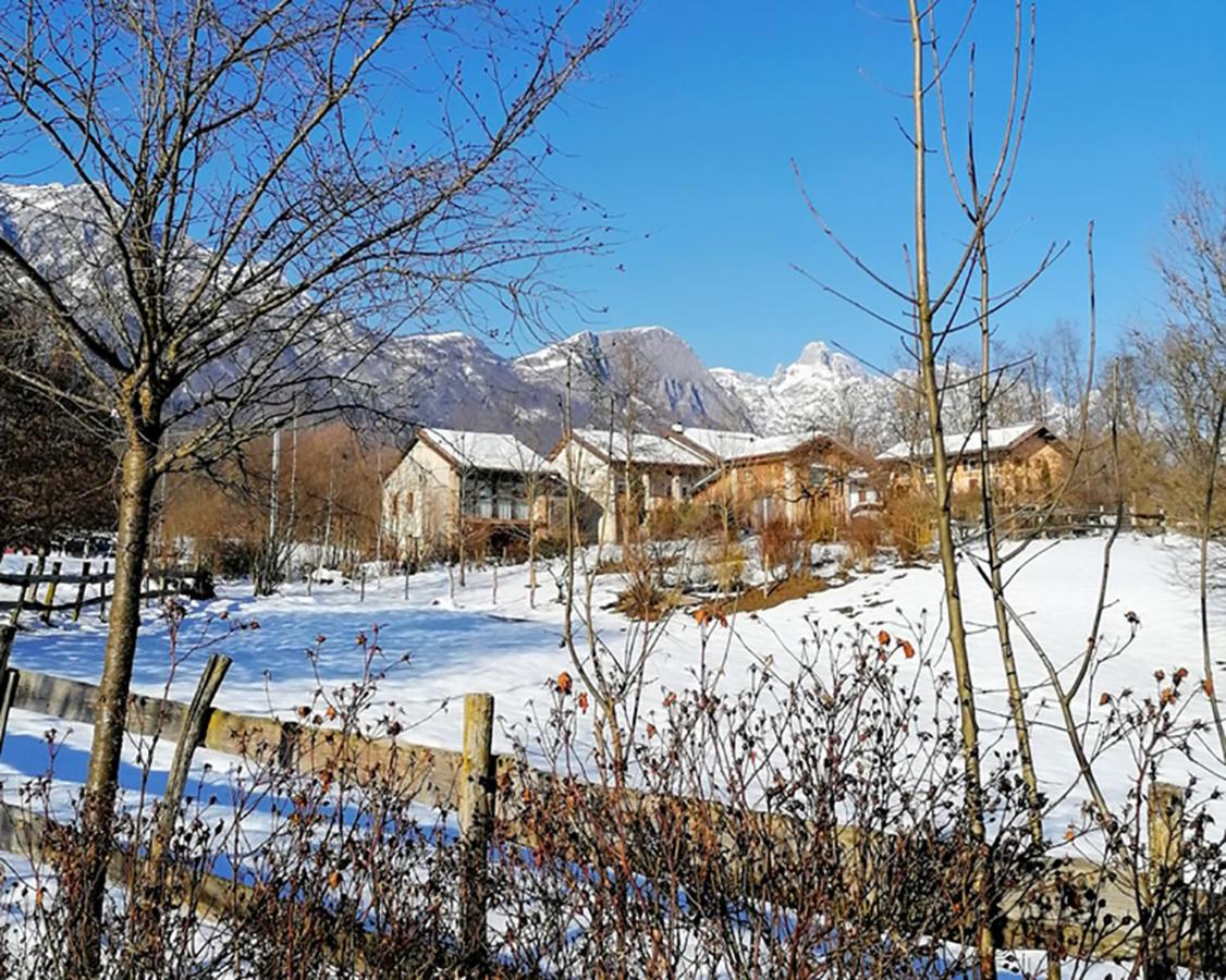 Casa delle Arti Fattoria dei fiori - Bed and Breakfast Sospirolo