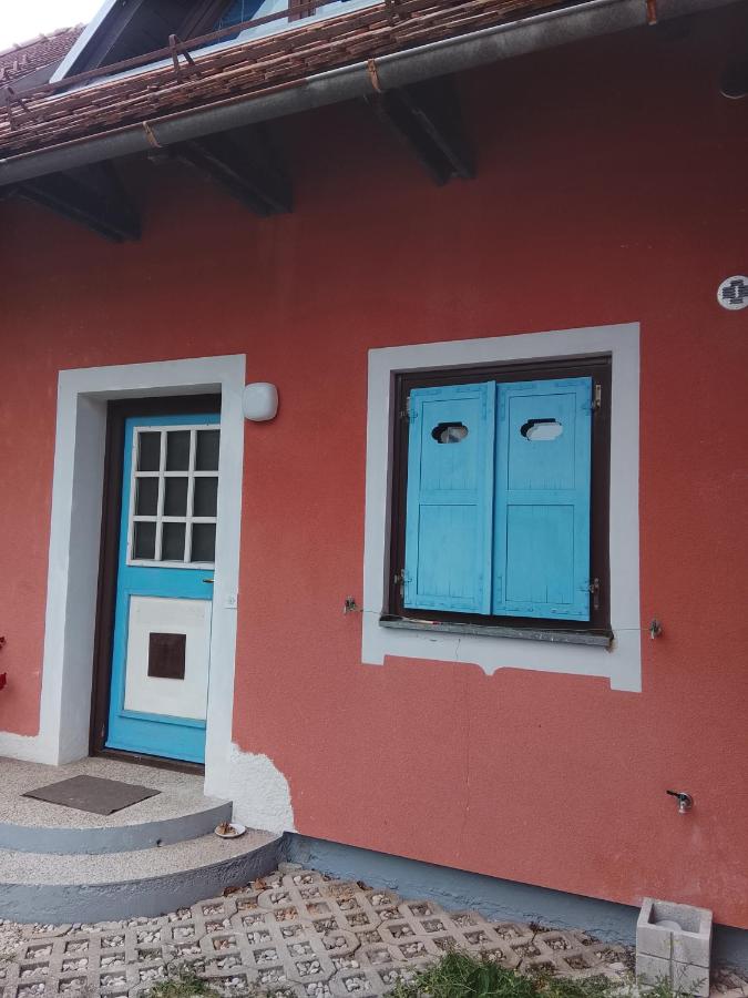 Julijana's Holiday Home - B&B Brežice