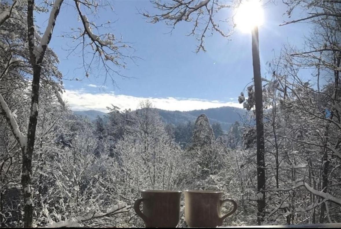 Mountain Heaven - B&B Blue Ridge