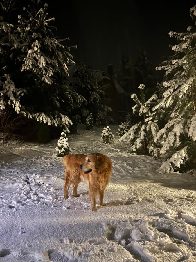 Pod Kogutem i Sową - Bio Wioska z domkami Premium w góralskim stylu VIP - Chambres d’hôtes Postołowo