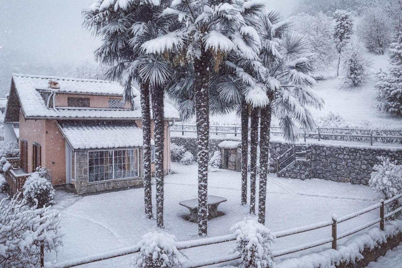 Villa Armonia palma - B&B Cerete