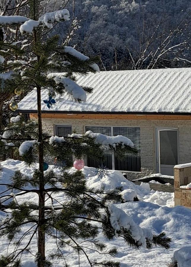 olya's garden - B&B Itkhvisi