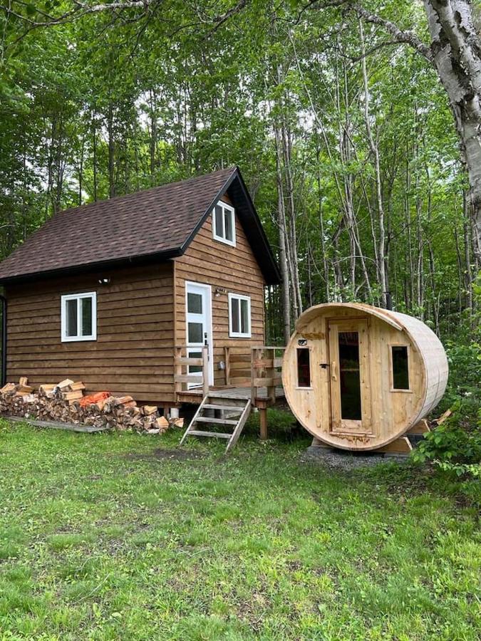 The Big Chill Luxe Lakefront w Hot Tub and Sauna - B&B Sprucedale
