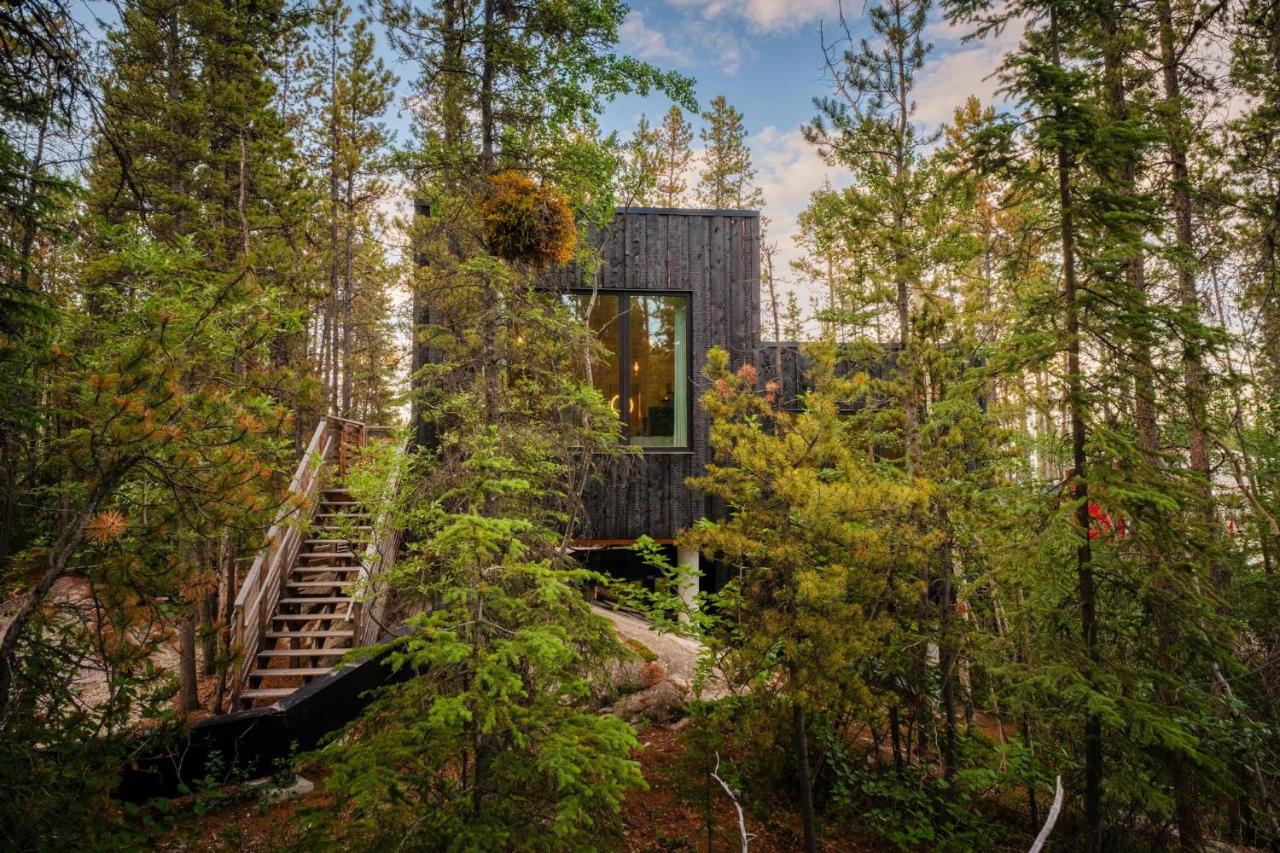Black Spruce - Orange Door - Chambres d’hôtes Whitehorse