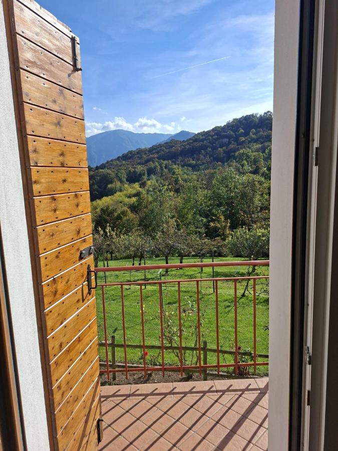 Belvedere 160 - B&B Feltre