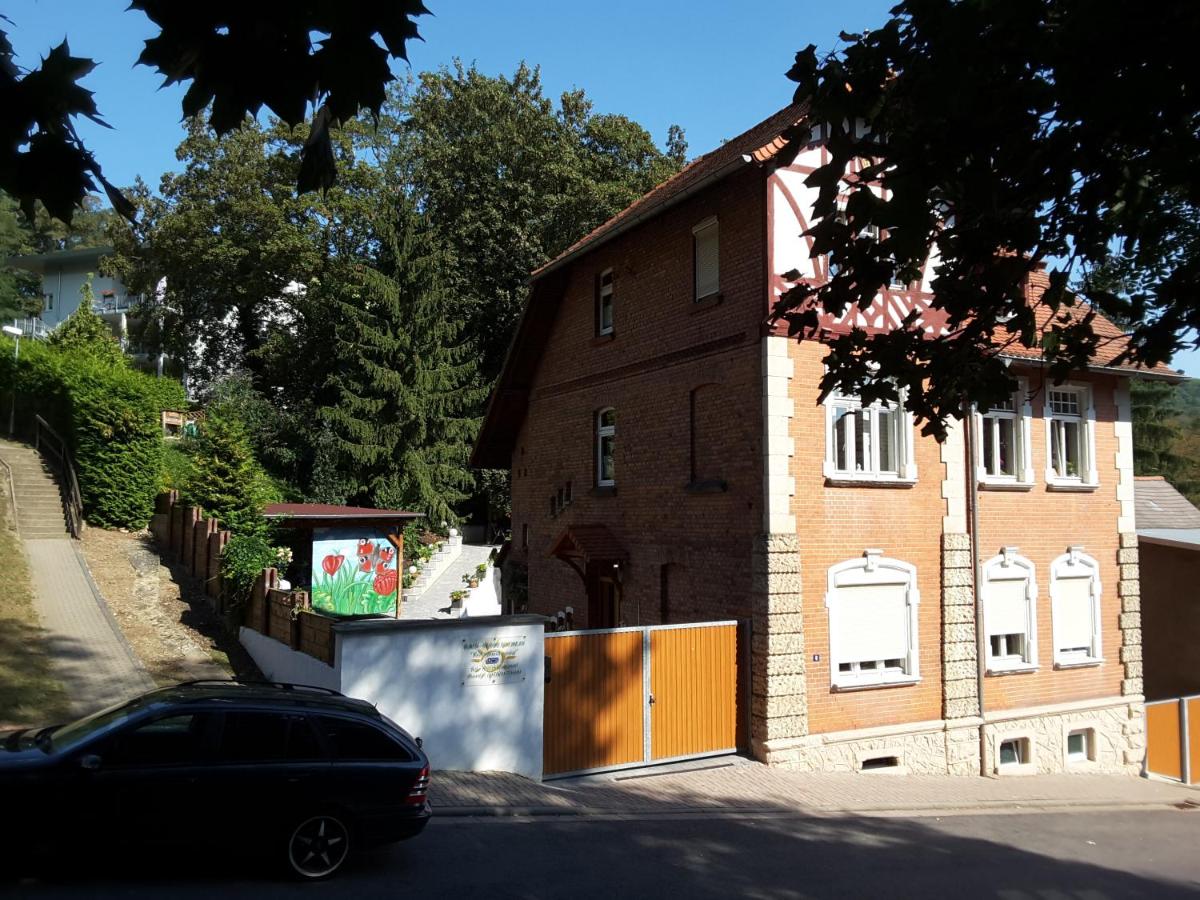 Appartement - Begane Grond