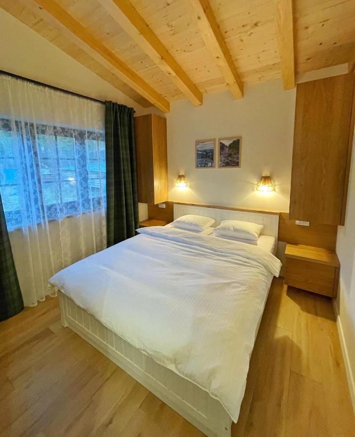 Cabana Roua - B&B Borşa