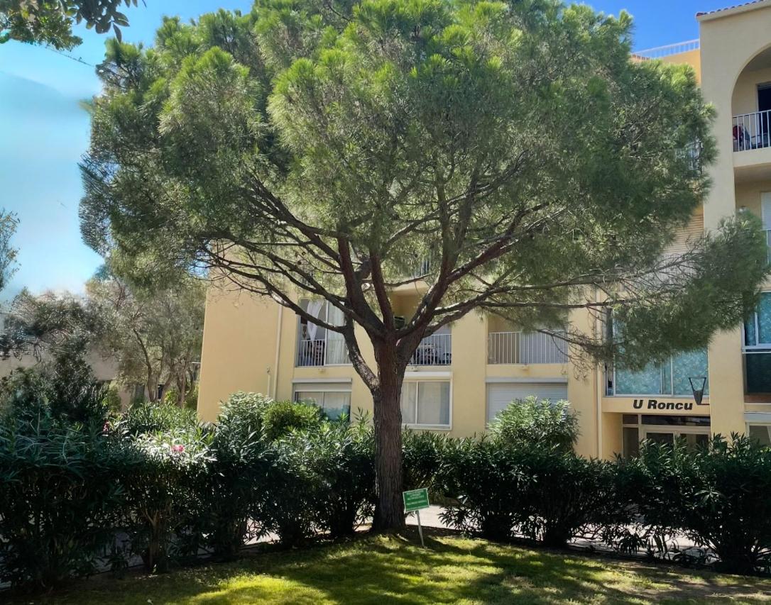 Studio Paradis à Calvi - Parking - Ferienwohnung Calvi