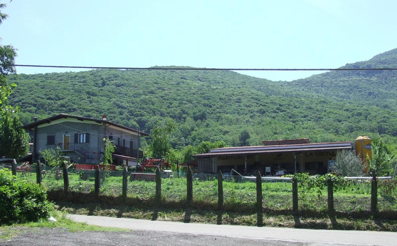 Studio (2 Adults + 2 Children)