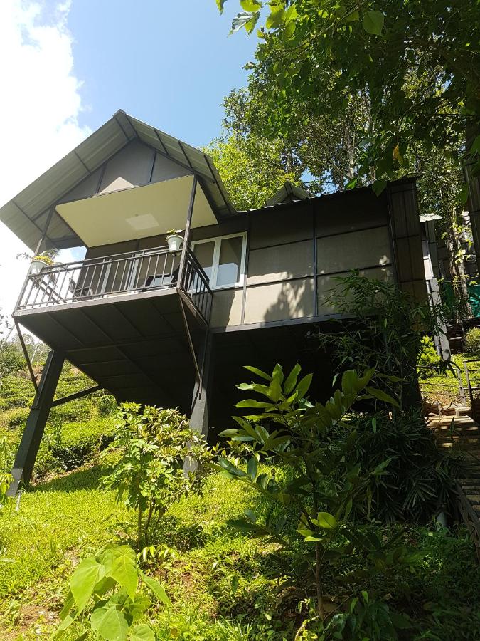 Moselberg Riverside Cottages - Ferienwohnung