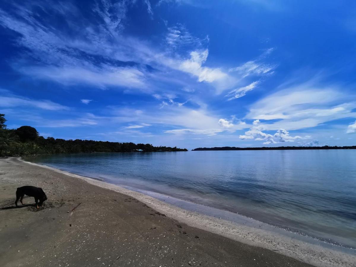 Villa Solazur - ocean view - B&B Bocas del Toro