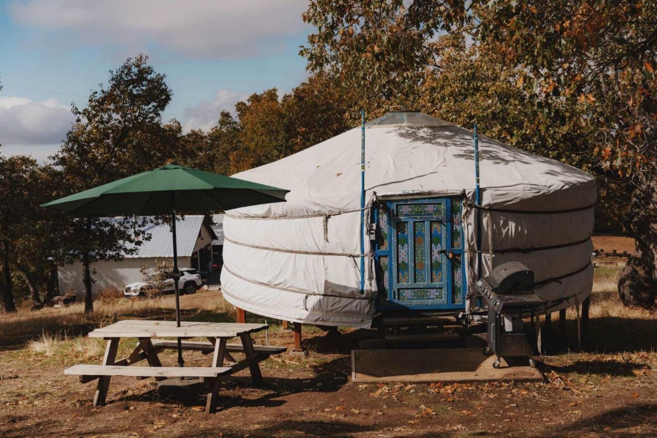 Cosy yurt at a nature retreat in Sequoia Forest - Ferienwohnung Miramonte