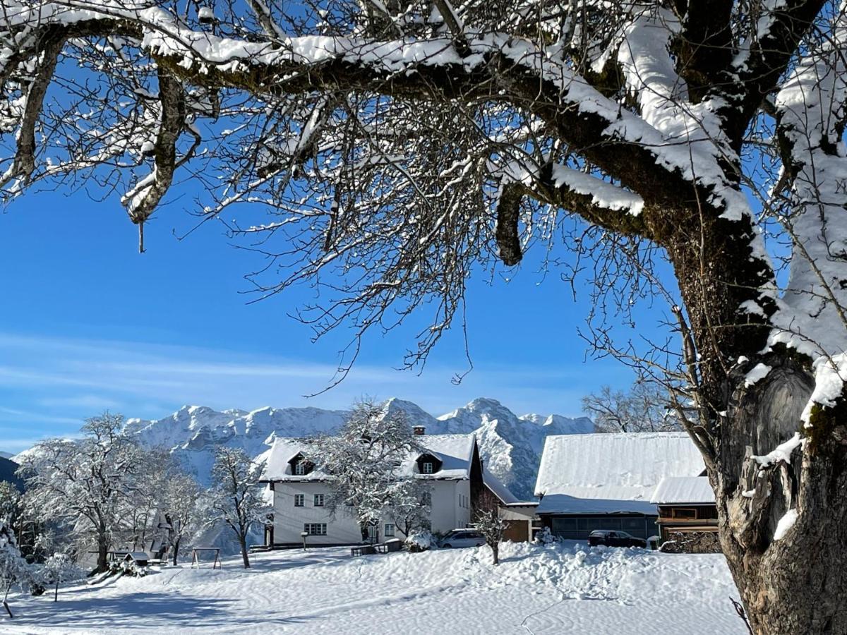 Ferienhof Zamsegg - B&B Vordertambergau