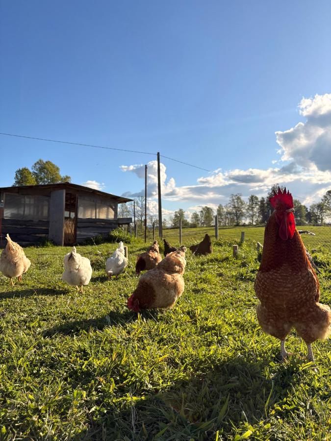 Cottage mit Gartenblick