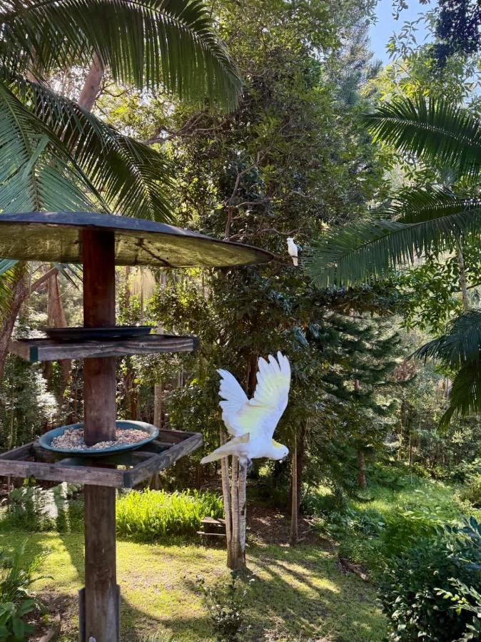 The Nature Nook - B&B Upper Mudgeeraba
