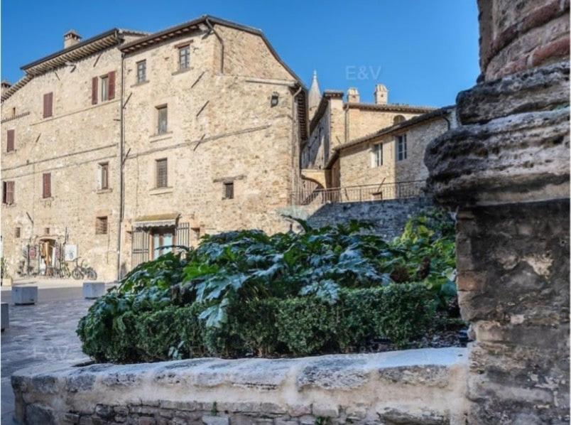 la casa nel borgo - B&B Bevagna