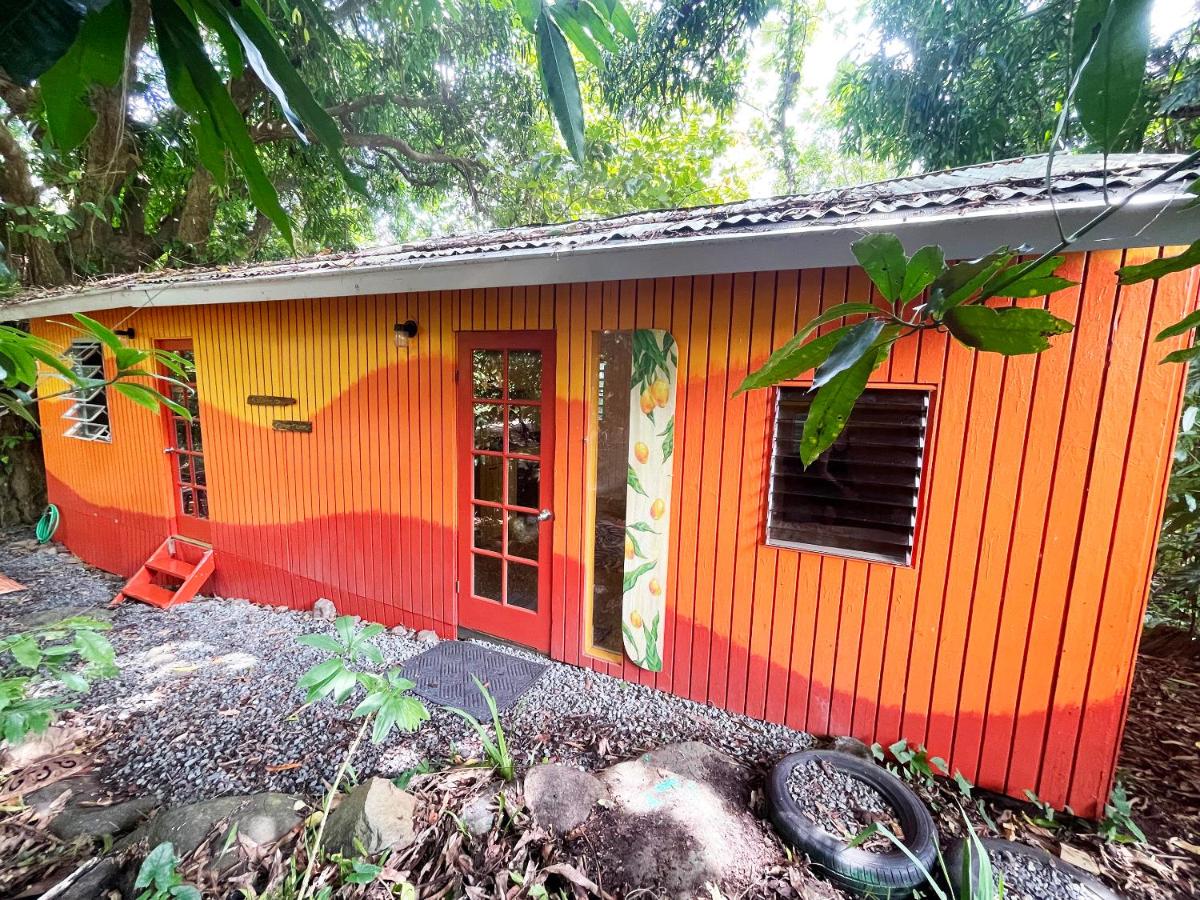 La Casa de Vida Natural - Ferienwohnung Río Grande