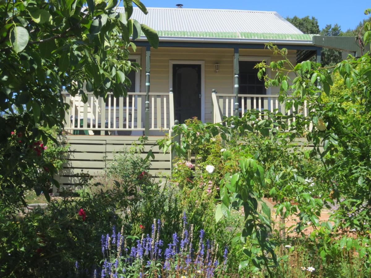 B&B Leongatha - Walnut Cottage via Leongatha - Bed and Breakfast Leongatha