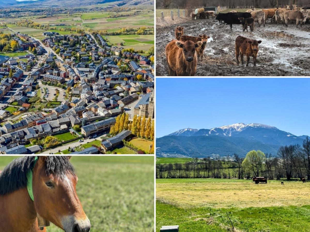 Cal Fontcitrana, casa de montaña - B&B Llívia