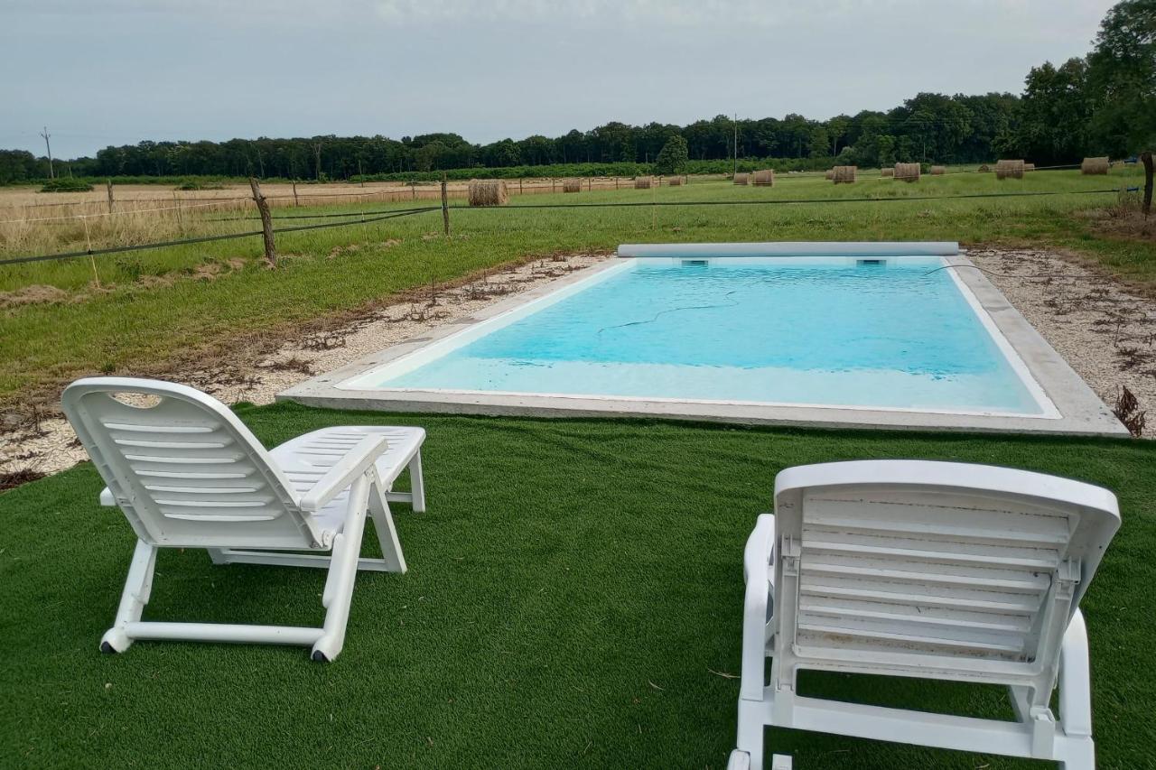 La Grande Métairie Notz Marafin - B&B Paulnay