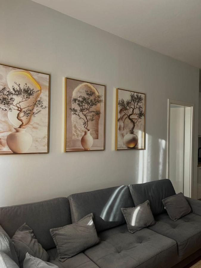 Shehu Apartments - Chambres d’hôtes Tirana