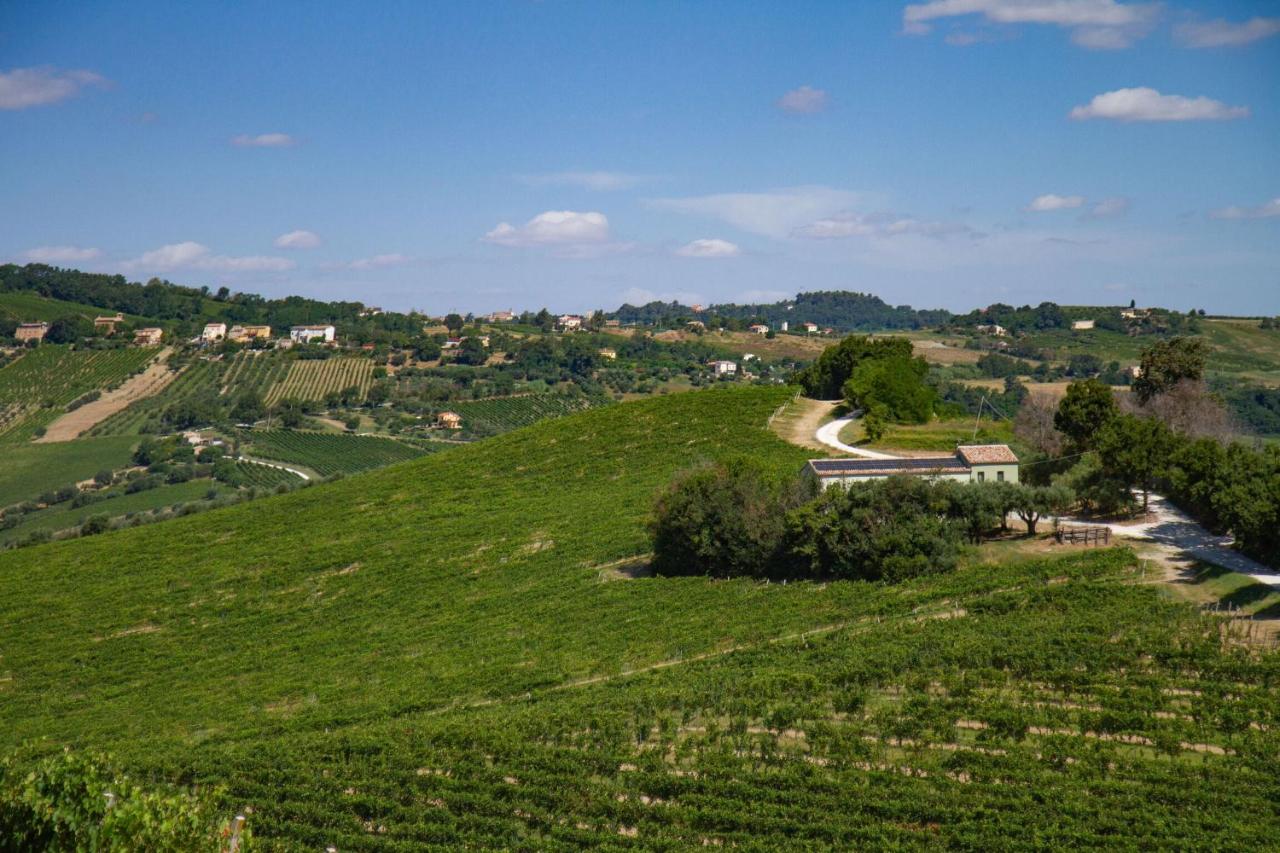 Italian Experience-Villa Zena - B&B Cupramontana