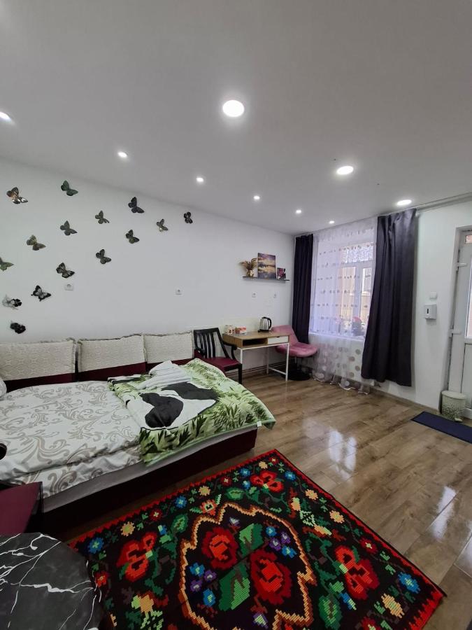 Catalina Apartment - B&B Dej