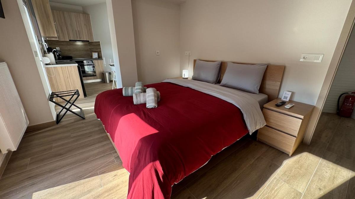 Karanasiou Apartment - Ferienwohnung Trikala