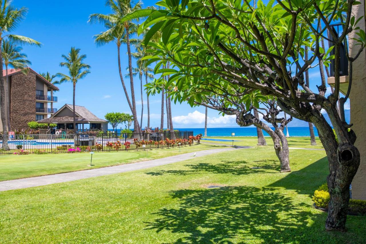 Papakea G105 - B&B Honokōwai