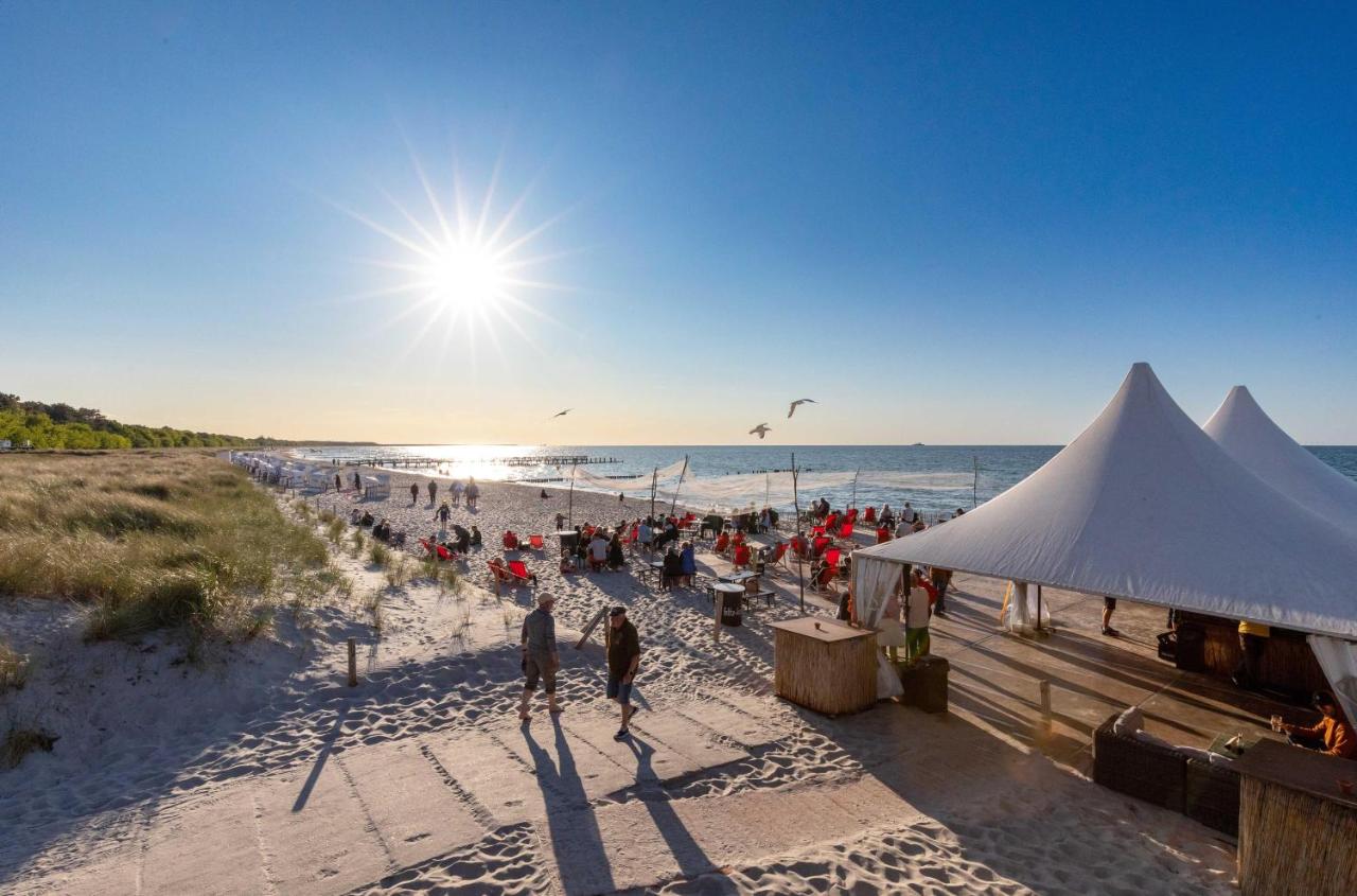 Ferienwohnung Deichperle - Ihr idyllischer Rückzugsort an der Ostsee in Zingst - B&B Zingst