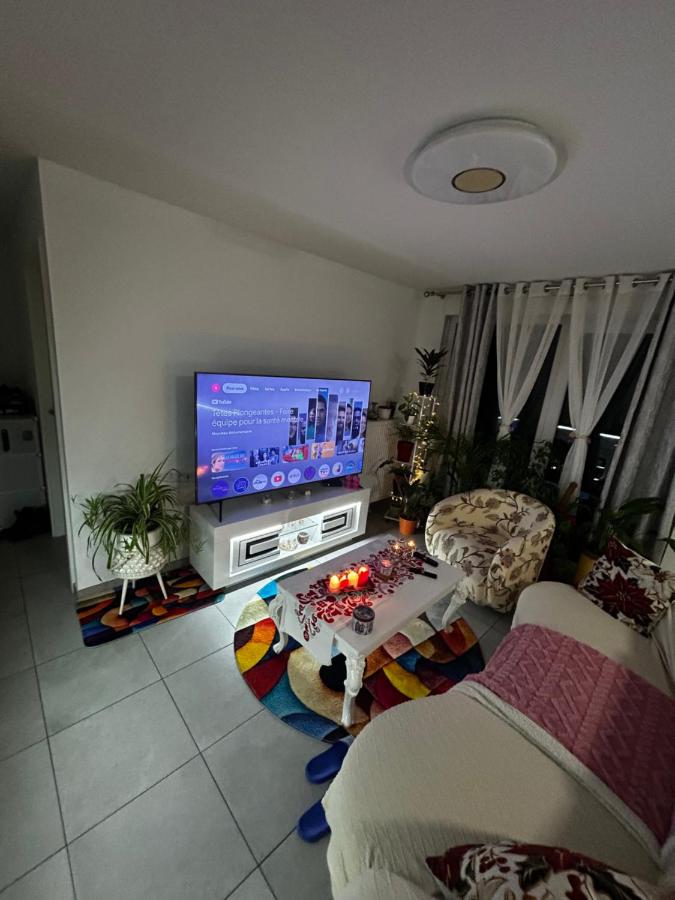 Appartement 3 pièce Strasbourg Ilkirch-Graffenstaden - B&B Illkirch-Graffenstaden