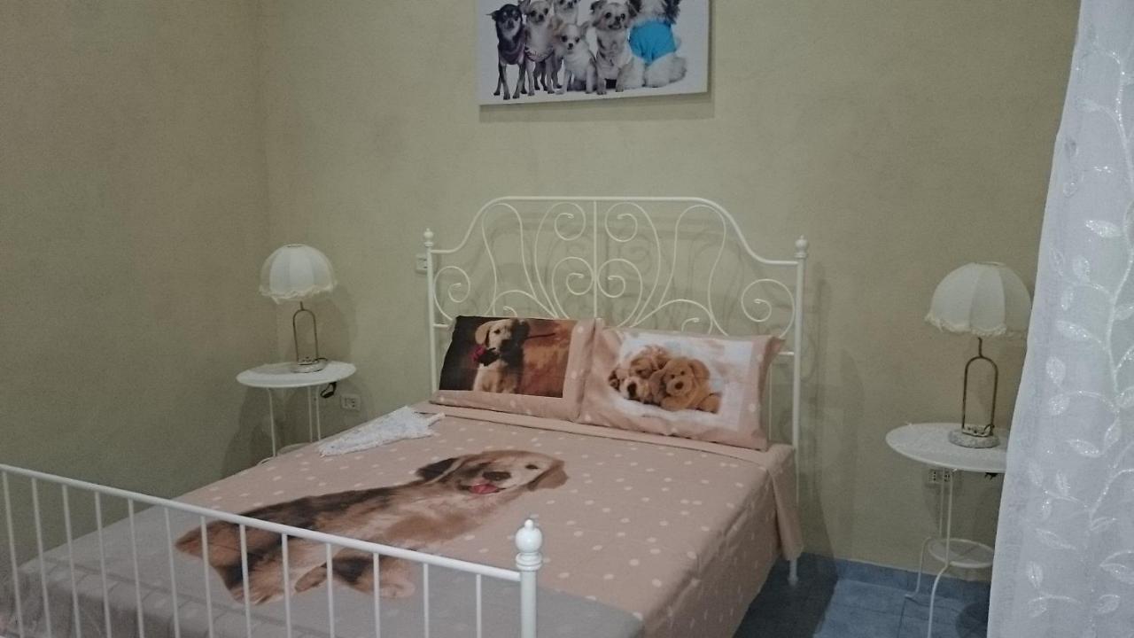 Chambre Lit King-Size avec Douche Accessible en Fauteuil Roulant - Adaptée aux Personnes à Mobilité Réduite