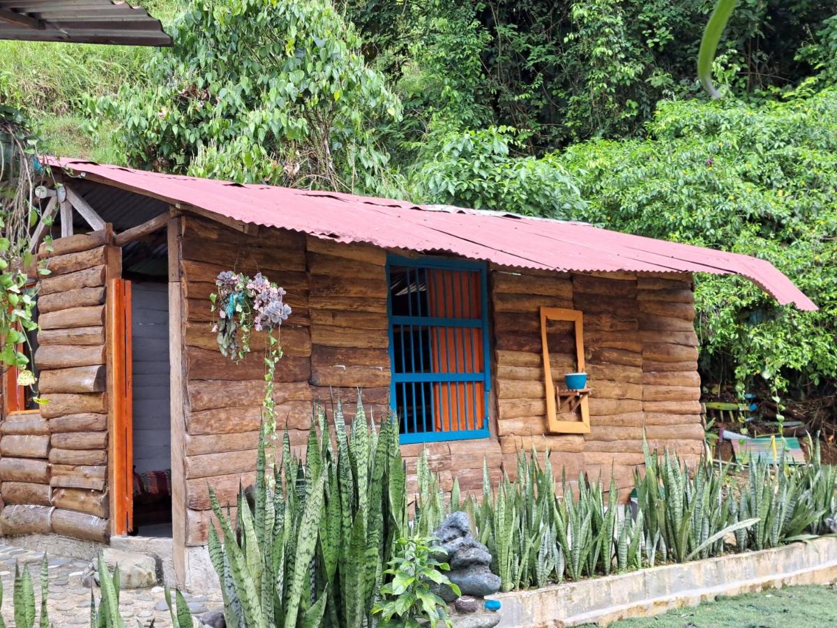 Rocas del Rio Ecohotel - Chambres d’hôtes Mutatá