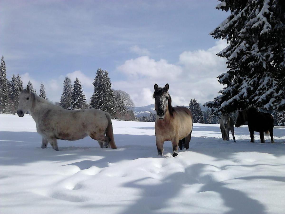 gite des granges bailly - Bed and Breakfast Les Fourgs