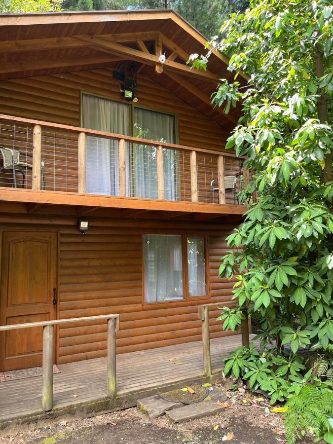 cabañas walls 1 - B&B Pucón