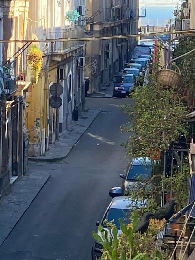 Sorrentino House - B&B Catania