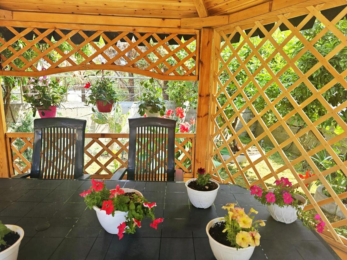 Homestay Beauty Day - B&B Durrës