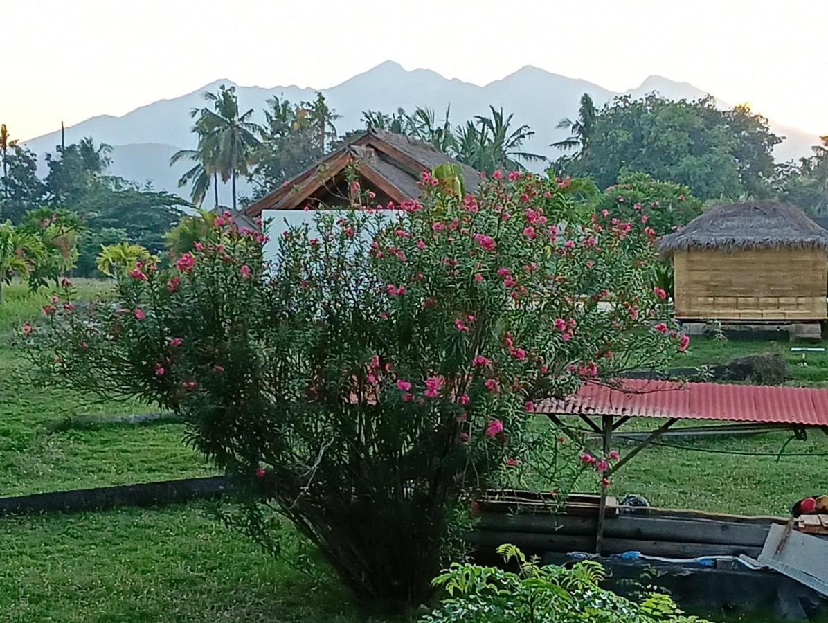 Volcano View Villa sleeps x 4 - B&B Gili Air