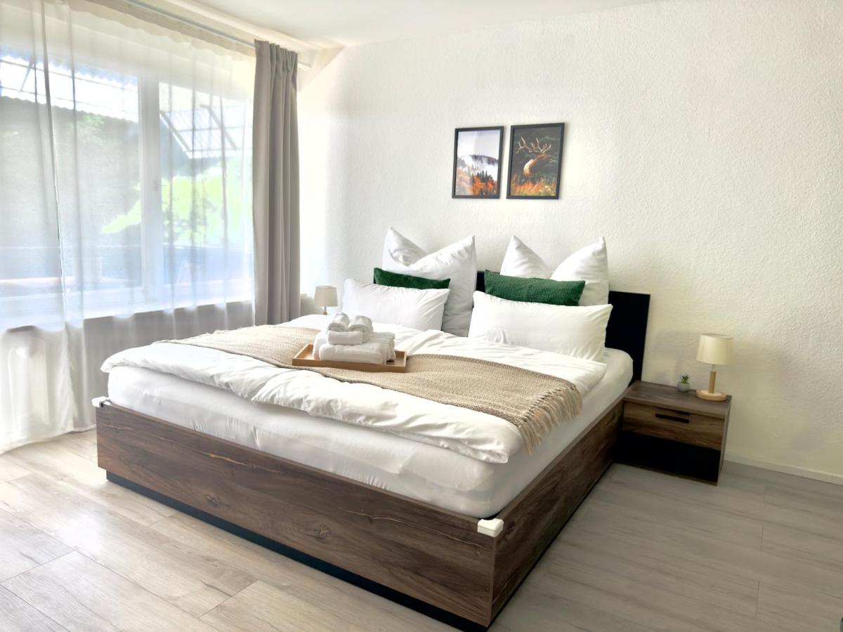 1-Zimmer-Apartment in der Nähe der Therme und Hängebrücke - B&B Bad Wildbad