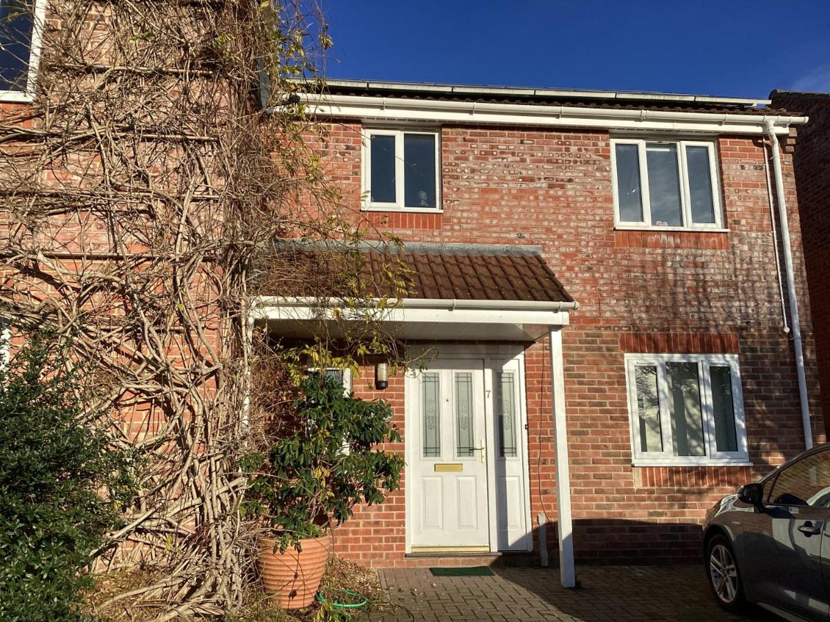 Treemon - B&B Glastonbury