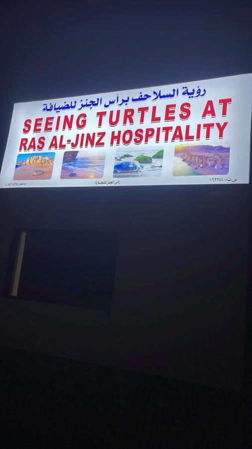 Seeing Turtles At Ras al jinz Hospitality - B&B Junayz al Janūbī